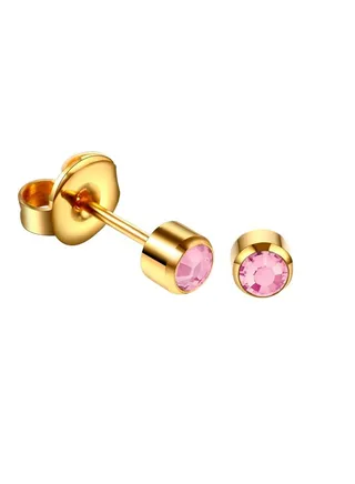 Exclusive Ear Studs 