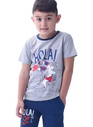 2pc Set- Boys Kids - Graphic Printed 2 Piece Clothing Set - Grey/Blue 