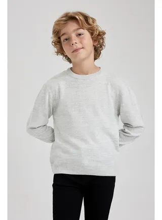 Boy Tricot Regular Fit Crew Neck Long Sleeve Pullover 