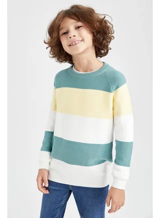 Boy Regular Fit Crew Neck Long Sleeve Tricot Pullover 