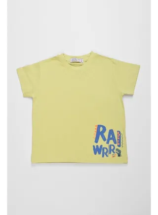 Baby Boys T-Shirt 