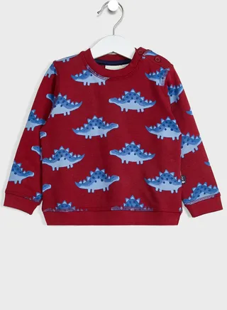 Kids Stegosaurus Print Sweatshirt 
