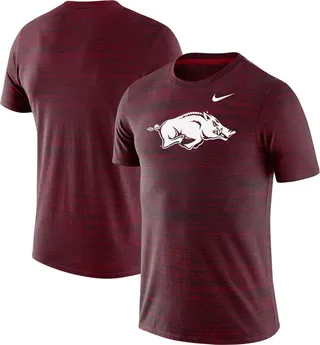 Men's Nike Cardinal Arkansas Razorbacks Team Logo Velocity Legend Performance T-shirt