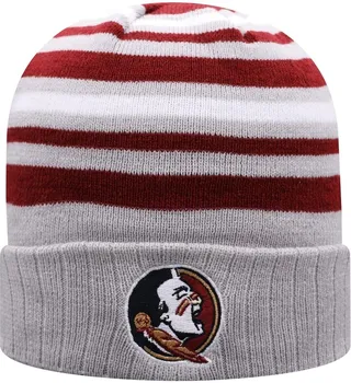 Men's Top of the World Gray and Garnet Florida State Seminoles All Day Cuffed Knit Hat