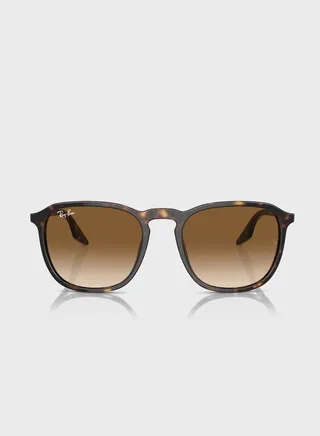 0Rb2203 Wayfarers Sunglasses