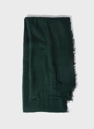 Pashmina Scarf