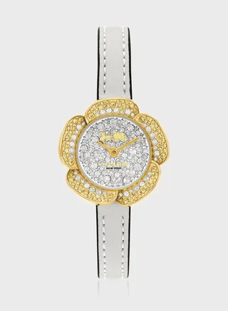 Lather  Strap Analog Watch