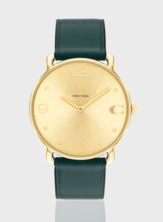 Elliot Analog Watch