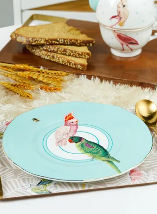 Sandwich Plate Parrot