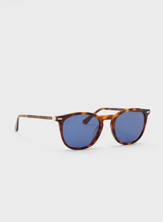 Wayfarers Sunglasses