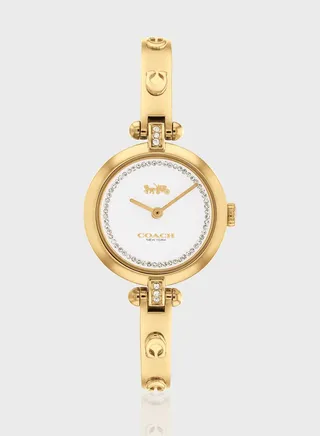 Cary Steel Strap Analog Watch