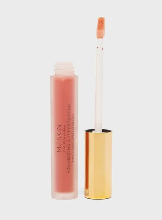Volumising Lip Perfector