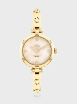 Cary Steel Strap Analog Watch