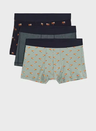 3 Pack Assorted Trunks