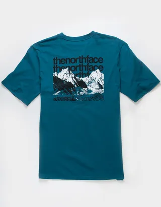 THE NORTH FACE Coordinates Mens Tee