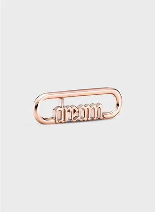 Pandora Me Styling Dream Word Link