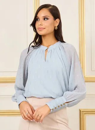 Textured Pleated Raglan Sleeves Blouse