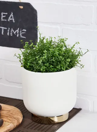 Callie Small Planter