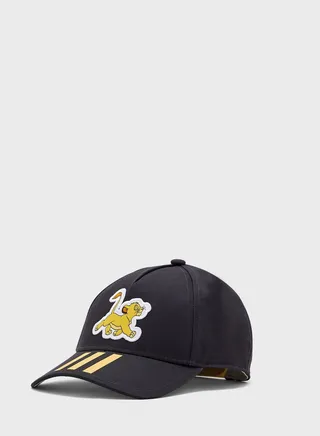 Kids Lion King Cap