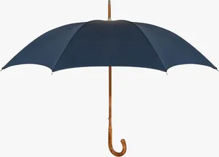 Umbrella 'herringbone' Umbrella