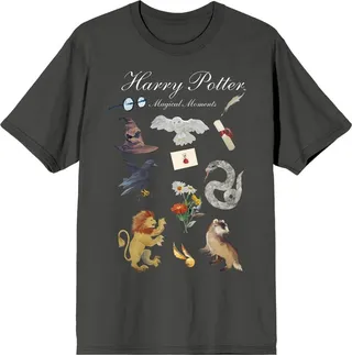 Harry Potter Stacked Icons Crew Neck Short Sleeve Charcoal Women’s T-shirt-XL