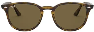 Ray-Ban RB4259 Round Frame Sunglasses