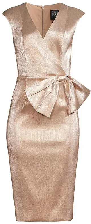 Aston Sheath Dress