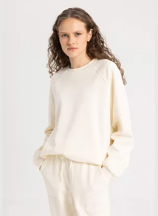 Woman Basic Crew Neck Knitted Jumper