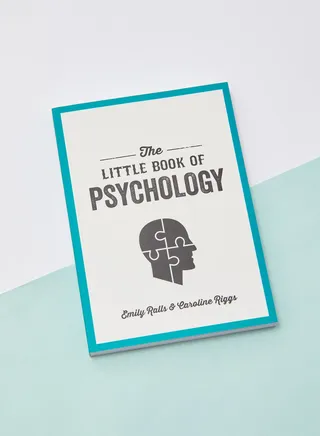 The Little Book of Psychology