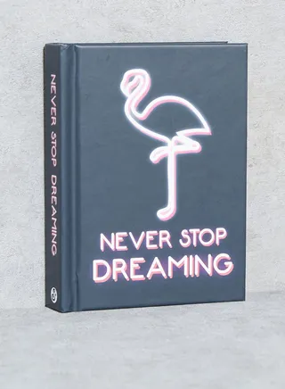 Never Stop Dreaming Book