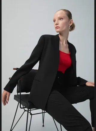 Woman Regular Fit Collarless Long Sleeve Blazer