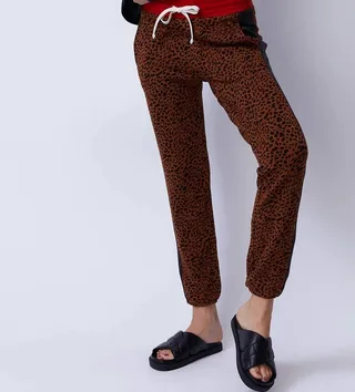 Block Stitched Elastic Waist Sweatpant in Mini Leopard Print