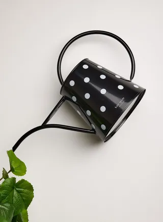 Watering Can, Picture Dot