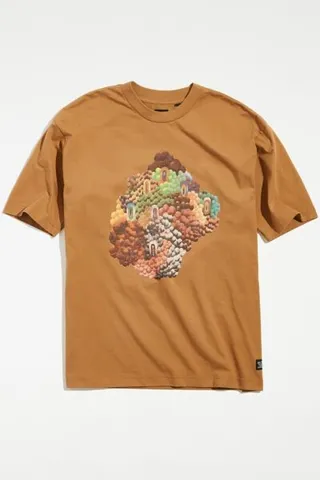 Levi's Skate Graphic Box Tee