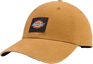 Dickies Men's Washed Canvas Cap
