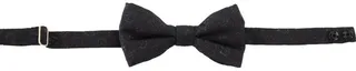 Etro Paisley Jacquard Bow Tie