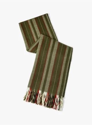 Soft Touch Tasseled Multicolor Scarf