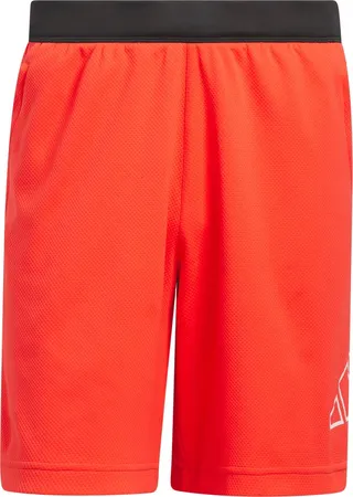 AEROREADY Axis Training Shorts