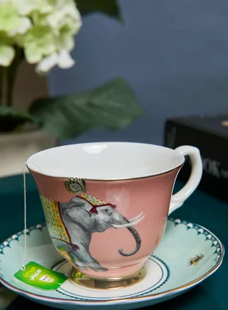 Teacup & Saucer Elephant