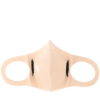 Model 2.2 face mask