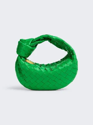 Mini Jodie Bag Parakeet and Gold