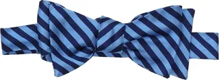 Ties & Bow Ties Azure