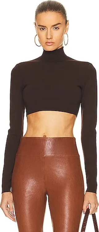 Zeynep Arcay Turtleneck Knit Crop Top in Brown