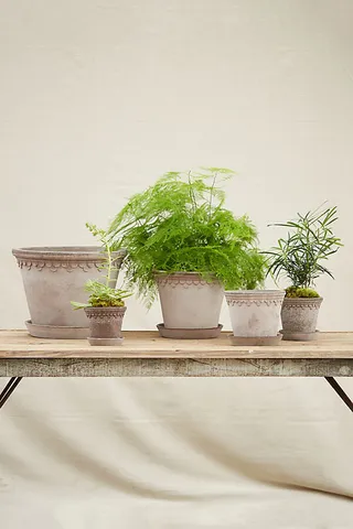 Bergs Palace Pot Grey