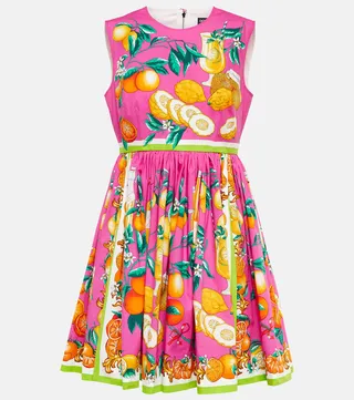 Printed cotton poplin minidress