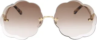 Chloé Eyewear Rosie Floral Shape Sunglasses