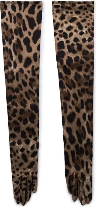 Dolce & Gabbana Long Leopard-Printed Stretch Satin Gloves