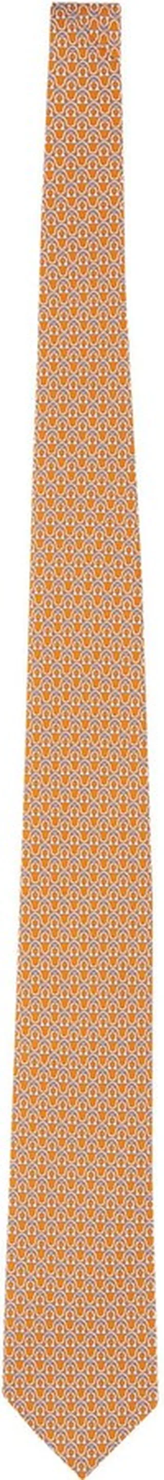 Tie With Gancini Print