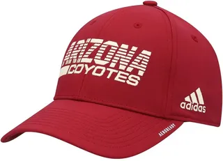 Men's Garnet Arizona Coyotes 2021 Locker Room Aeroready Flex Hat
