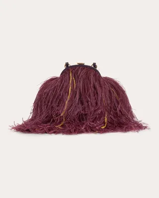 Frame Feathered Crossbody Bag
